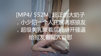 [MP4/ 552M] 超正的大奶子，小少妇一个人在家诱惑狼友，超级美乳撅着屁股掰开骚逼给狼友看骚穴自慰