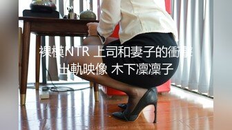 裸模NTR 上司和妻子的衝擊出軌映像 木下凜凜子