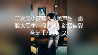 二次元小萝莉，人美声甜，露脸大黑牛、假几巴、跳蛋自慰合集【72v】 (2)