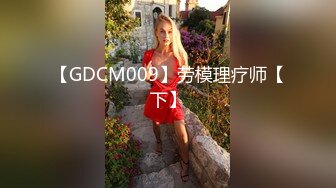 【GDCM009】劳模理疗师【下】