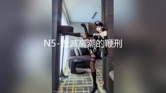 N5-毀滅高潮的鞭刑