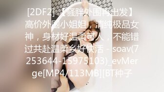 [2DF2] 【骚胖外围再出发】高价外围小姐姐，清纯极品女神，身材好温柔可人，不能错过共赴温柔乡好快活 - soav(7253644-15975103)_evMerge[MP4/113MB][BT种子