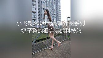 小飞哥3000元高端外围系列 奶子整的很完美的科技脸