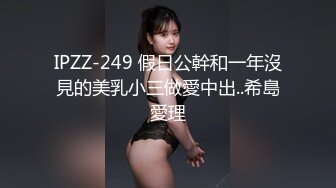 IPZZ-249 假日公幹和一年沒見的美乳小三做愛中出..希島愛理