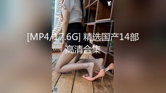 [MP4/17.6G] 精选国产14部高清合集