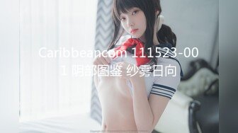 Caribbeancom 111523-001 阴部图鉴 纱雾日向