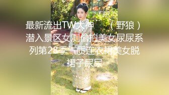 最新流出TW大神❤️（野狼）潜入景区女厕偷拍美女尿尿系列第28季气质连衣裙美女脱裙子尿尿