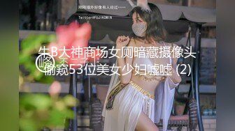 牛B大神商场女厕暗藏摄像头偷窥53位美女少妇嘘嘘 (2)