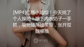 [MP4]红唇小姐姐！今天找了个人操她！撩下内衣奶子一手抓，吸吮舔屌翘美臀，张开双腿爆插