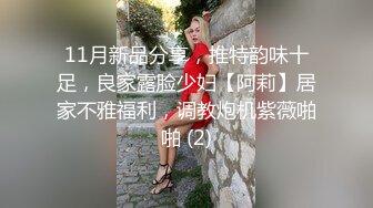 11月新品分享，推特韵味十足，良家露脸少妇【阿莉】居家不雅福利，调教炮机紫薇啪啪 (2)