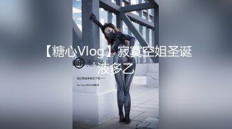 【糖心Vlog】寂寞空姐圣诞液多乙