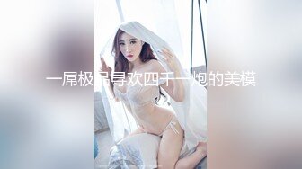 一屌极品寻欢四千一炮的美模