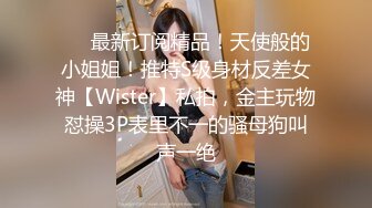 ❤️最新订阅精品！天使般的小姐姐！推特S级身材反差女神【Wister】私拍，金主玩物怼操3P表里不一的骚母狗叫声一绝