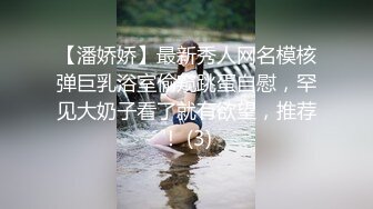 【潘娇娇】最新秀人网名模核弹巨乳浴室偷窥跳蛋自慰，罕见大奶子看了就有欲望，推荐！ (3)