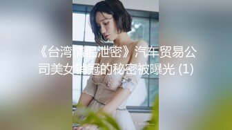 《台湾情侣泄密》汽车贸易公司美女销冠的秘密被曝光 (1)