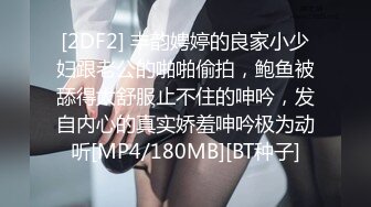 一只小狗奴 特别抗操