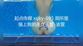 起点传媒 xsjky-095 厕所里强上我的美女主管-凌萱