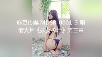 麻豆传媒 MDSR-0001-3 剧情大片《妖女榨汁》第三章