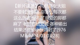 【胖子工作室】极品高端外围女神，风情万种俏佳人，爆操骚逼激情无限