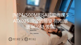 PMC-341-变态修理工强奸女主人.暴露荡妇强制性处理-米欧