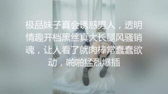 极品妹子真会诱惑男人，透明情趣开档黑丝真大长腿风骚销魂，让人看了就肉棒常蠢蠢欲动，啪啪猛烈爆插