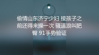 小母狗的发情4