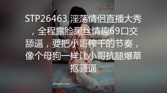 onlyfans淫妻绿帽【swingdog】 约单男3p啪啪 无套输出最新合集【496V】 (283)