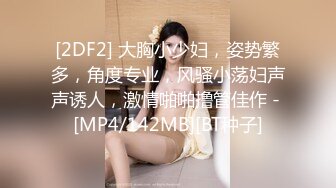 [2DF2] 大胸小少妇，姿势繁多，角度专业，风骚小荡妇声声诱人，激情啪啪撸管佳作 - [MP4/142MB][BT种子]