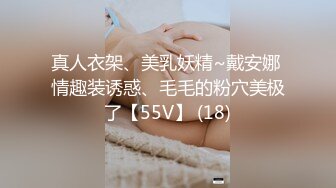 真人衣架、美乳妖精~戴安娜 情趣装诱惑、毛毛的粉穴美极了【55V】 (18)