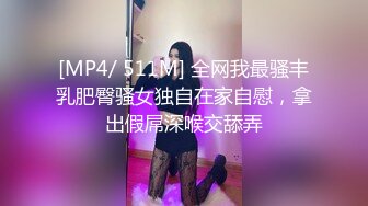 [MP4/ 377M] 极品美少女网吧包厢激战泽美 超正点闺蜜爆裂黑丝 极品美腿蜂腰在电竞椅上老汉推车特别带劲