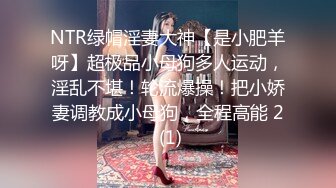 NTR绿帽淫妻大神【是小肥羊呀】超极品小母狗多人运动，淫乱不堪！轮流爆操！把小娇妻调教成小母狗，全程高能 2 (1)