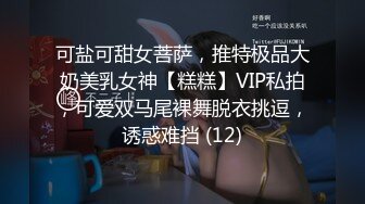 可盐可甜女菩萨，推特极品大奶美乳女神【糕糕】VIP私拍，可爱双马尾裸舞脱衣挑逗，诱惑难挡 (12)