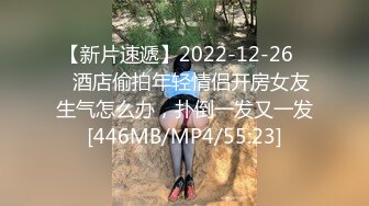 【新片速遞】2022-12-26❤️酒店偷拍年轻情侣开房女友生气怎么办，扑倒一发又一发[446MB/MP4/55:23]