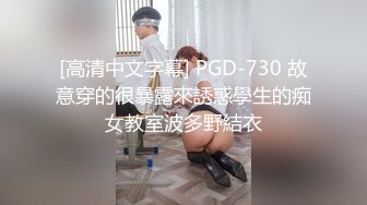 [高清中文字幕] PGD-730 故意穿的很暴露來誘惑學生的痴女教室波多野結衣