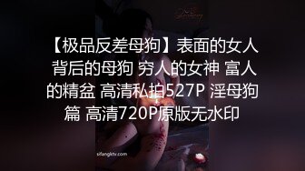 【极品反差母狗】表面的女人 背后的母狗 穷人的女神 富人的精盆 高清私拍527P 淫母狗篇 高清720P原版无水印