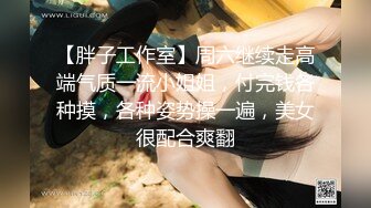 千娇百媚美少女美美的小姐姐 弹力摇站立后入啪啪全程lo鞋，妹子是很嫩的，jb是很大的，最后竟然全部塞进去了