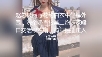 ★☆【高颜萝莉❤️重磅核弹】★☆极品双马尾萝莉 车震无套后入 内射粉穴 美乳翘臀 高清 (2)