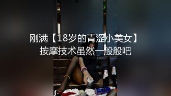 极品巨乳网红何麦枒自拍视图福利很有气质的小姐姐一对车大灯就能玩虚脱