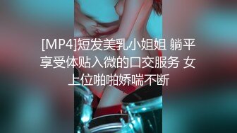 [MP4/4.08G]Hotel偷拍系列彩虹情趣房4月4.21单位领导约啪少妇同事