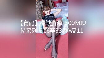 【有码】稀缺资源-300MIUM系列-316至337作品11