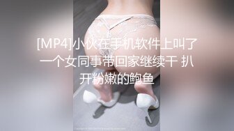 [MP4]小伙在手机软件上叫了一个女同事带回家继续干 扒开粉嫩的鲍鱼