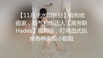 【11月无水印新品】母狗收藏家，痞气约炮达人【黑帝斯Hades】福利③，打鸡血式玩肏各种类型小姐姐