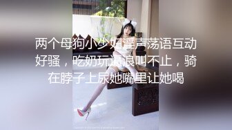 【出軌的婊子人妻3人】在聚會上喝的醺醺大醉的人妻結果是→【出軌·亂交】