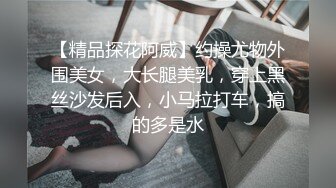 【精品探花阿威】约操尤物外围美女，大长腿美乳，穿上黑丝沙发后入，小马拉打车，搞的多是水