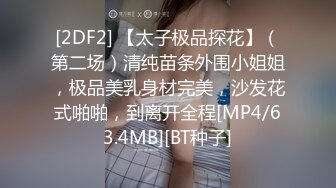 [2DF2] 【太子极品探花】（第二场）清纯苗条外围小姐姐，极品美乳身材完美，沙发花式啪啪，到离开全程[MP4/63.4MB][BT种子]