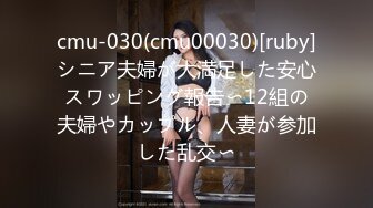 cmu-030(cmu00030)[ruby]シニア夫婦が大満足した安心スワッピング報告〜12組の夫婦やカップル、人妻が参加した乱交〜