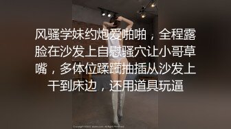 《云盘高质✿钻石泄密》露脸才是王道！颜值天花板极品身材某航空姐工作期间是女神下班后就成为金主母G~各种淫乱自拍相当反差