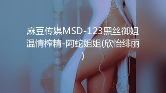 麻豆传媒MSD-123黑丝御姐温情榨精-阿蛇姐姐(欣怡绯丽)