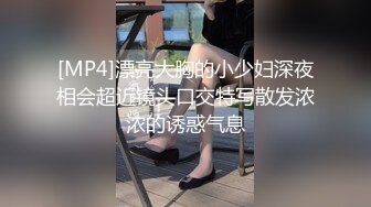 [MP4]漂亮大胸的小少妇深夜相会超近镜头口交特写散发浓浓的诱惑气息