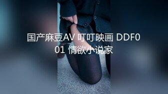 国产麻豆AV 叮叮映画 DDF001 情欲小说家